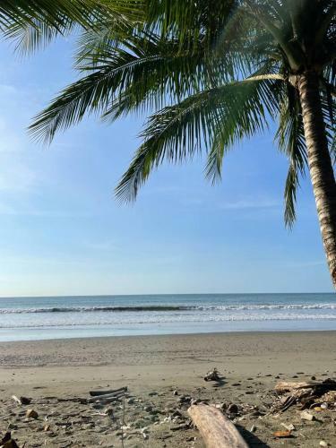 Casa Yow Surf