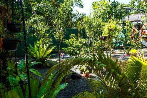 Ruwan Jungle Homestay