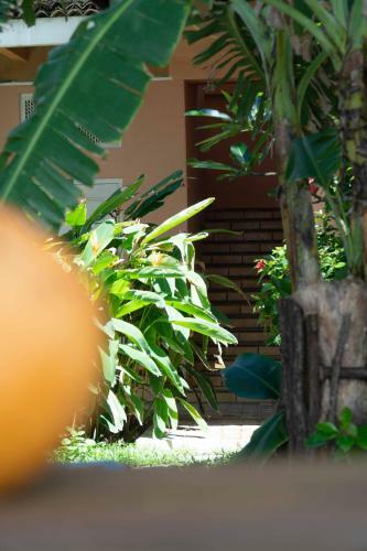 The Slow Vegan Hotel