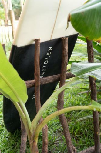 The Slow Vegan Hotel