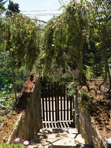 Hostal Redwood Homestay