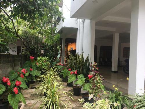 Hostal Dreams Connect Guest
