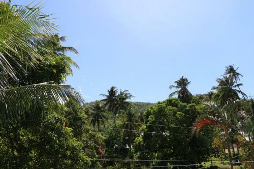 Hotel Badladz Beach And Dive Resort