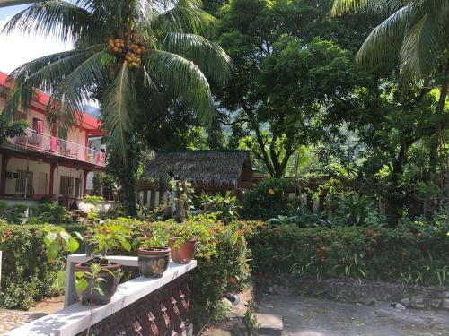 Posada Amami Garden Hostel