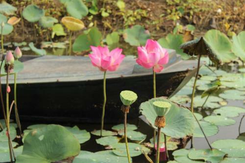 Thach Thao Homestay