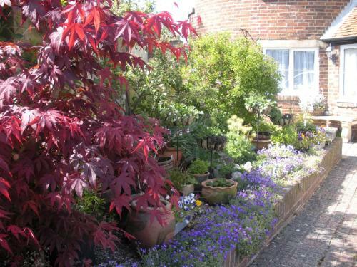 Bed & Breakfast Manor Farm Oast