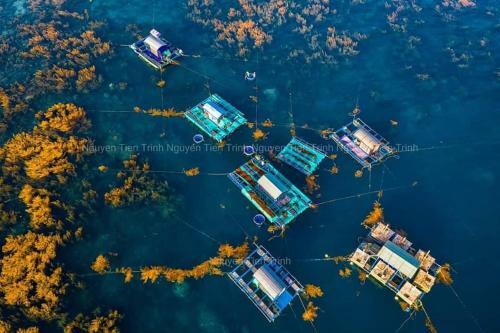 Flc Sea Tower Quy Nh?n - Vanila Apartments