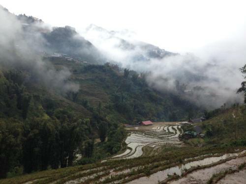 Terrace H'mong Homestay