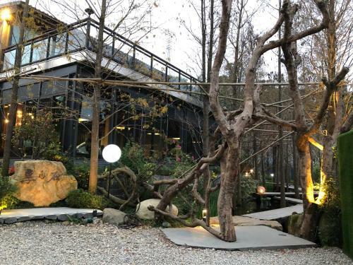 Carefree Park