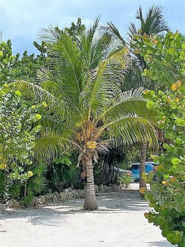 Progreso East, 1 Block From The Beach, Spacious Condo With Splendid Views
