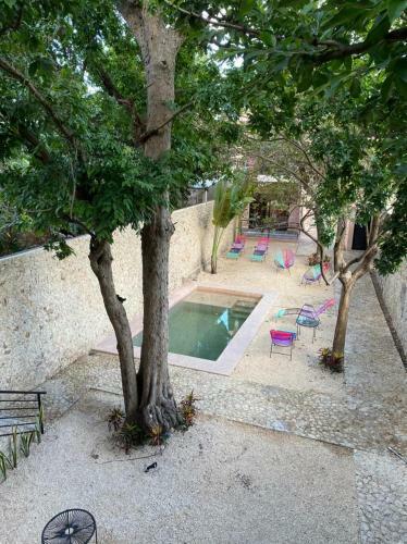 Apartamento Hotelito Yum Kaax
