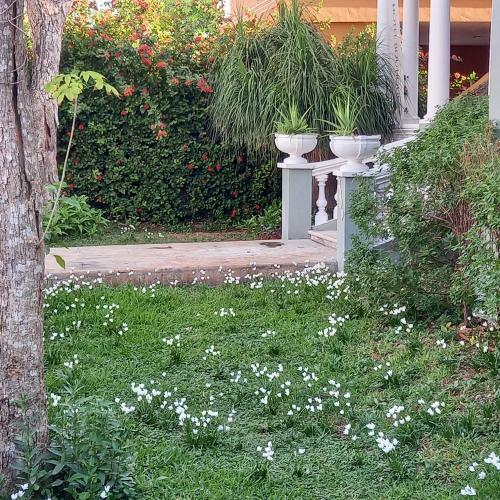 Bed & Breakfast Hotel Boutique Casa Espejo Da Luca