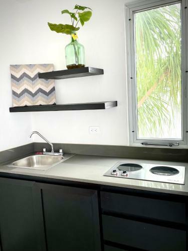 Apartamento White House D2