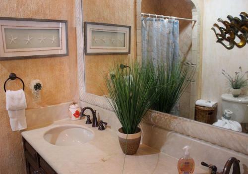 Apartamento Sonoran Sun Se104 Condo At Rocky Point