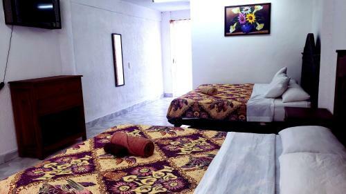 Hotel Panda Viajero