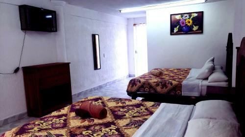 Hotel Panda Viajero