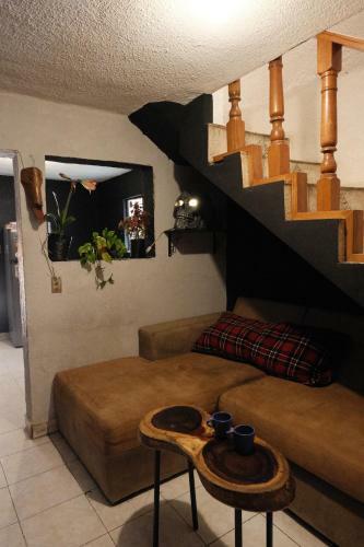 Eleva Vegan Hostel