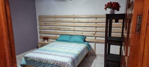 Hostal Mayastal Terraza