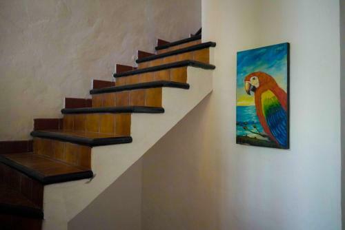 Bed & Breakfast My Local Home Vallarta