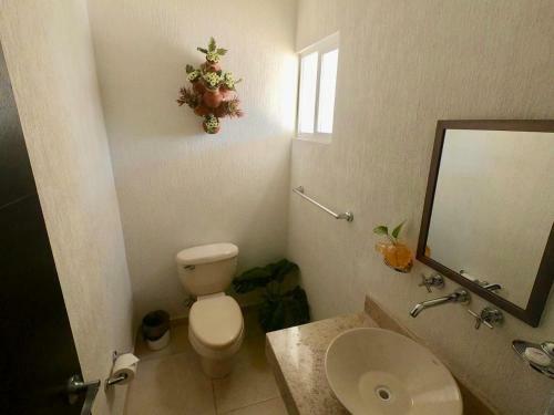 Jacuzzi Home, Holidays