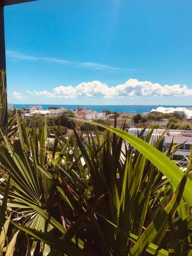 Apartamento Riva Playasur 405