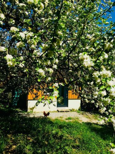 Apartamento 1000 Krauthof