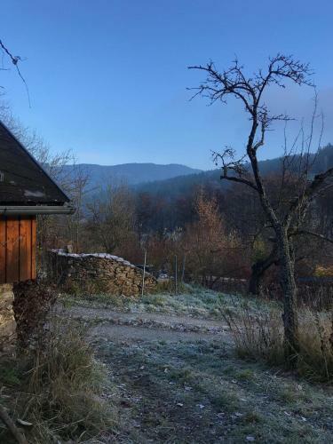 Apartamento 1000 Krauthof