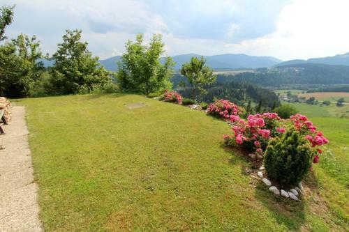 Apartamento Fewo Pl�sch Vlg. Maierhofer
