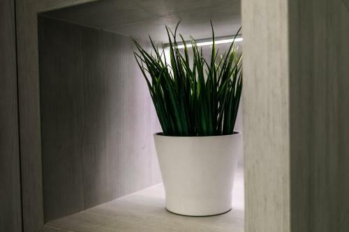 Apartamento Vt Lux -rousse