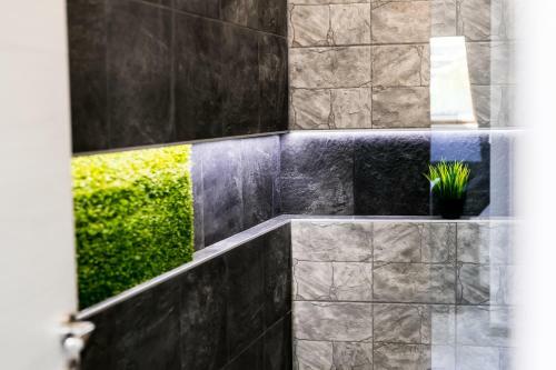 Apartamento Vt Lux -rousse