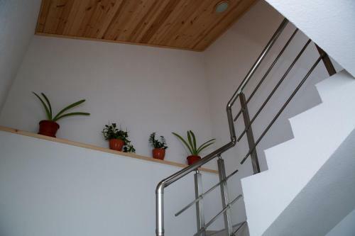 Hostal Stanchevata Kashta
