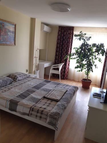 Apartamento Nish 7