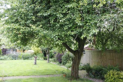 Hostal Hollybush Guest House