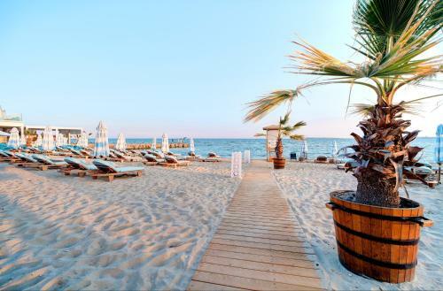 Beachfront Apartments By Marty's