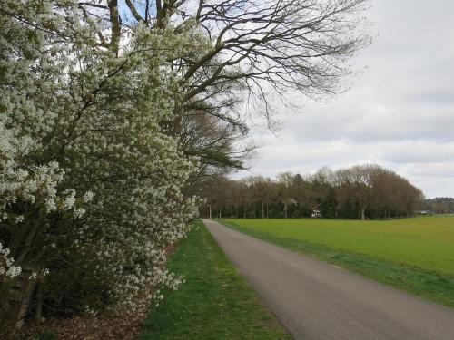 Lovely Holiday Home In Lemele With Garden