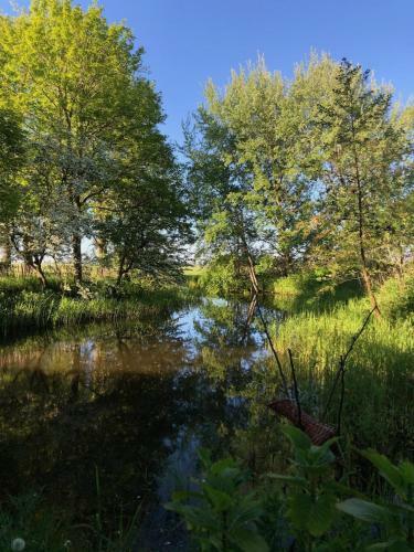 Bed & Breakfast B And Be Happy Friesland
