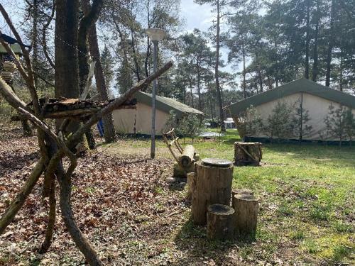 Glamping Safaritent Op Camping de Rimboe