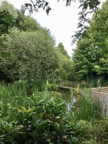Apartamento Moderne Studio In H�t Wandel- En Fietsland Twente