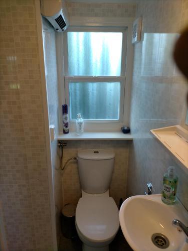 Vazonics Valkenbosch Oisterwijk 86