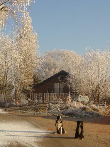 Bed & Breakfast Roosje Van Ooy