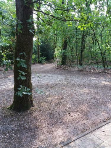 Agroturismo Witte Wieven Bungalow 17
