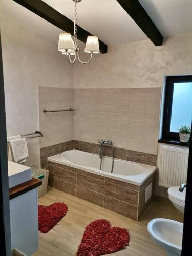 Villa House Baba Vr�ncioaia Foc?ani ,nice And Peacefull.