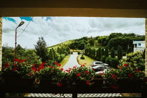 Hostal Pensiunea Romana