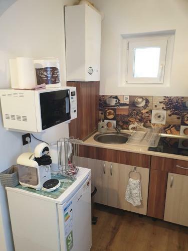 Apartamento Garsoniera Mihaela