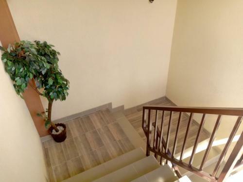 Hostal Camere de Inchiriat Carpati