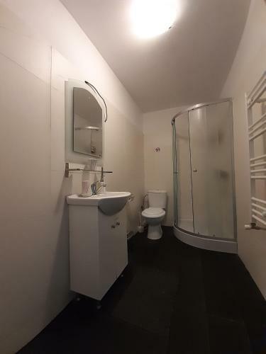 Copou Holding Apartments