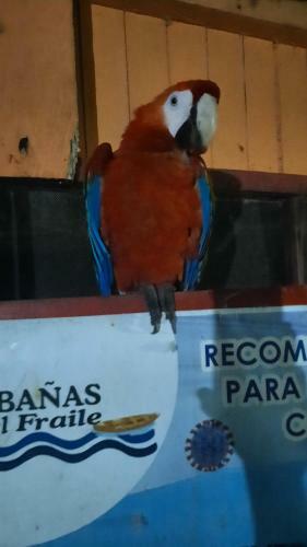 Hotel Caba�as Alto Del Aguila