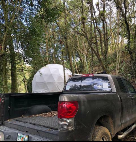Moongreen Glamping