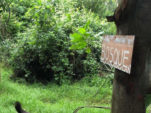 Glamping Con Sentido