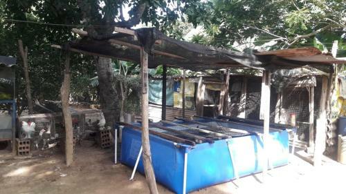 Agroturismo Tubar� Rancho Mocan�
